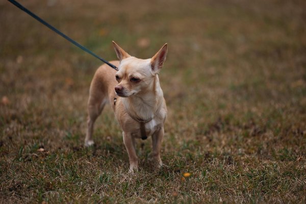 How Can UK Sports Foster Inclusivity and Diversity on and off the Field?